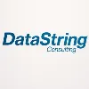 DataString Consulting DataString Consulting