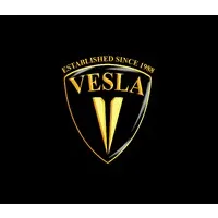 VESLA MOTORS L.L.C