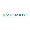 Vibrant Technologies Vibrant Technologies