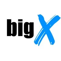 bigX Tecnologia
