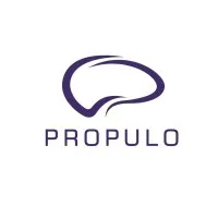 Propulo Consulting propulo.com Propulo Consulting propulo.com