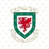 Football Association of Wales