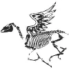 Dead Horse Branding Dead Horse Branding