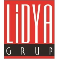 Lidya Grup