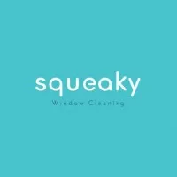 Squeaky Cleaning