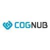 Cognub Decision Solutions