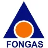 Foundation Gas Foundation Gas