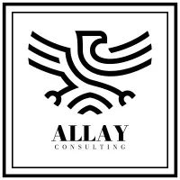 Allay Consulting LLC Allay Consulting LLC
