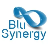 BluSynergy BluSynergy