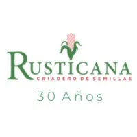 RUSTICANA