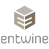 Entwine Solutions LLP