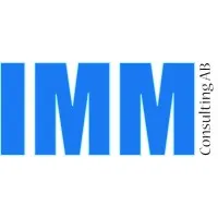 IMM Consulting
