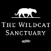 The Wildcat Sanctuary The Wildcat Sanctuary