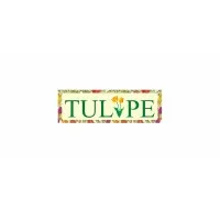 Tulipe