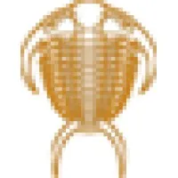 FossilEra