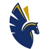 Pegasus Aviation Advisors Pegasus Aviation Advisors
