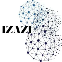 Izazi Consulting Services