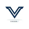 Valiant Management Group Valiant Management Group