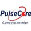 PulseCore Semiconductor Inc PulseCore Semiconductor Inc