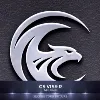 CS VISOR