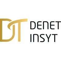 Denet Insyt Business Consultants