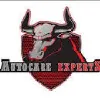 AutocarePakistan AutocarePakistan