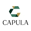 Capula Investment Management LLP Capula Investment Management LLP