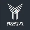 Pegasus Technology Solutions Pegasus Technology Solutions