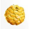 projetsolaire.com projetsolaire.com
