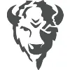 Bison Payments Bison Payments