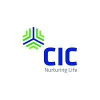 CIC Holdings PLC email format