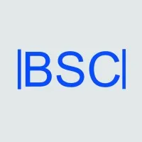 Business Solution Consulting (BSC) Business Solution Consulting (BSC)