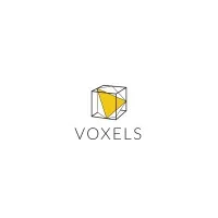 Voxels 