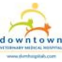 Dvm Hospitals Dvm Hospitals