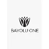 Bayolu One Investments Bayolu One Investments