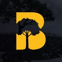 Bequest Capital Assessoria de Investimentos