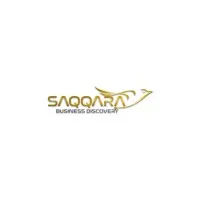 Saqqara Business Discovery