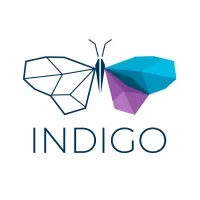 Indigo Innovations Inc Indigo Innovations Inc