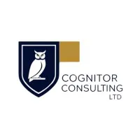 Cognitor Consulting Ltd