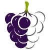 Mulberry Analytics Mulberry Analytics