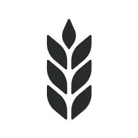 Rye Labs Rye Labs