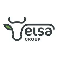 Elsa Group