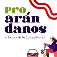 Proarándanos
