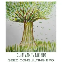 Seed Consulting BPO