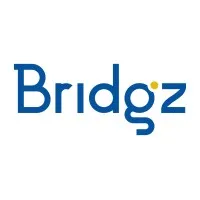 Bridgz email format