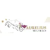 Aurelius Minerals Inc Aurelius Minerals Inc