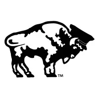 Buffalo Limousine Buffalo Limousine