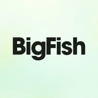 Big Fish Collective
