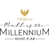 Phoenix Mall of the Millennium Phoenix Mall of the Millennium