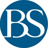 BS VISION Corporate Consulting